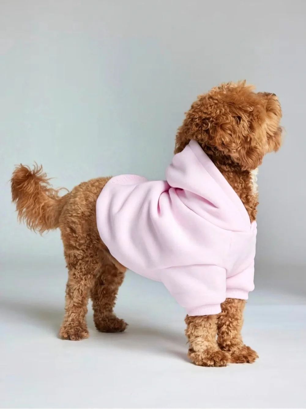Comfrt power pink